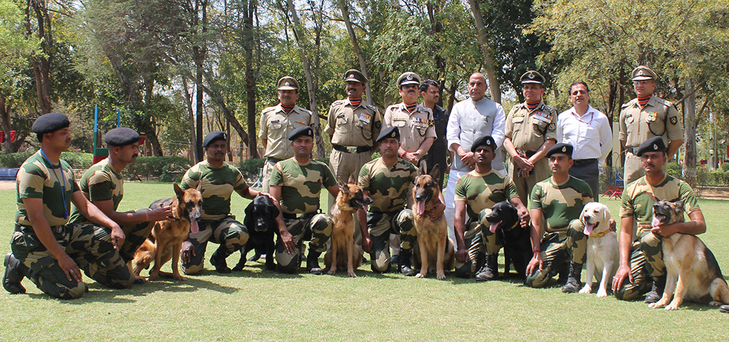 Canines to the Rescue