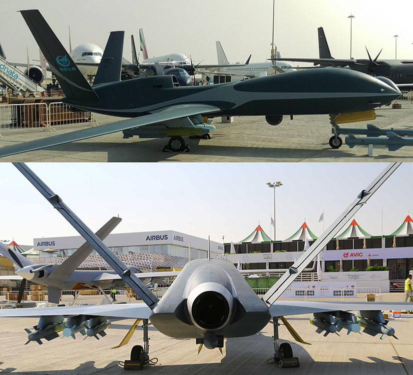 China Blooms in Mideast Desert