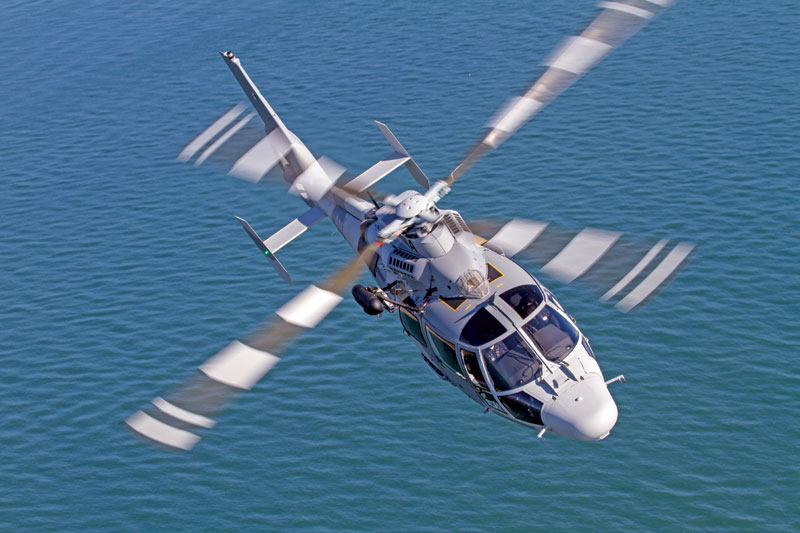 View from the Industry | Make Bold Beautiful