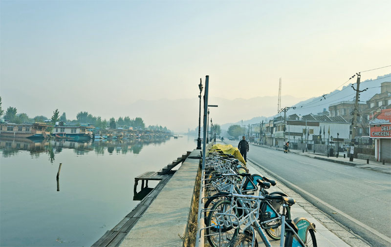The Loneliness of a Kashmiri